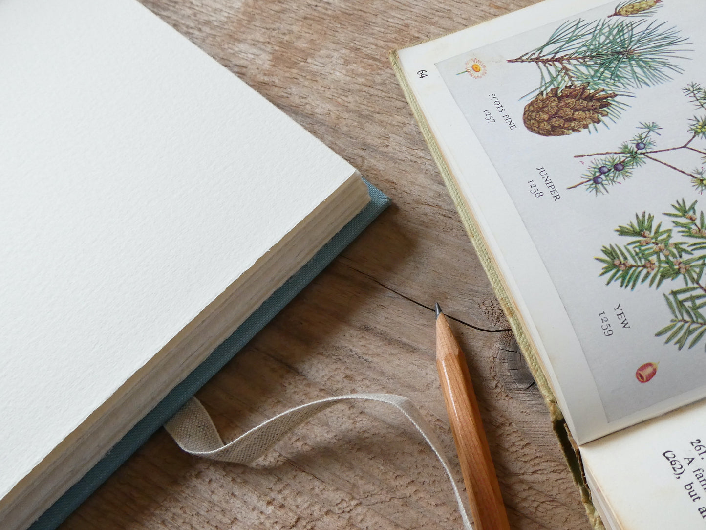 Celandine Books Blue Linen Watercolour Sketchbook with wildflower book and pencil