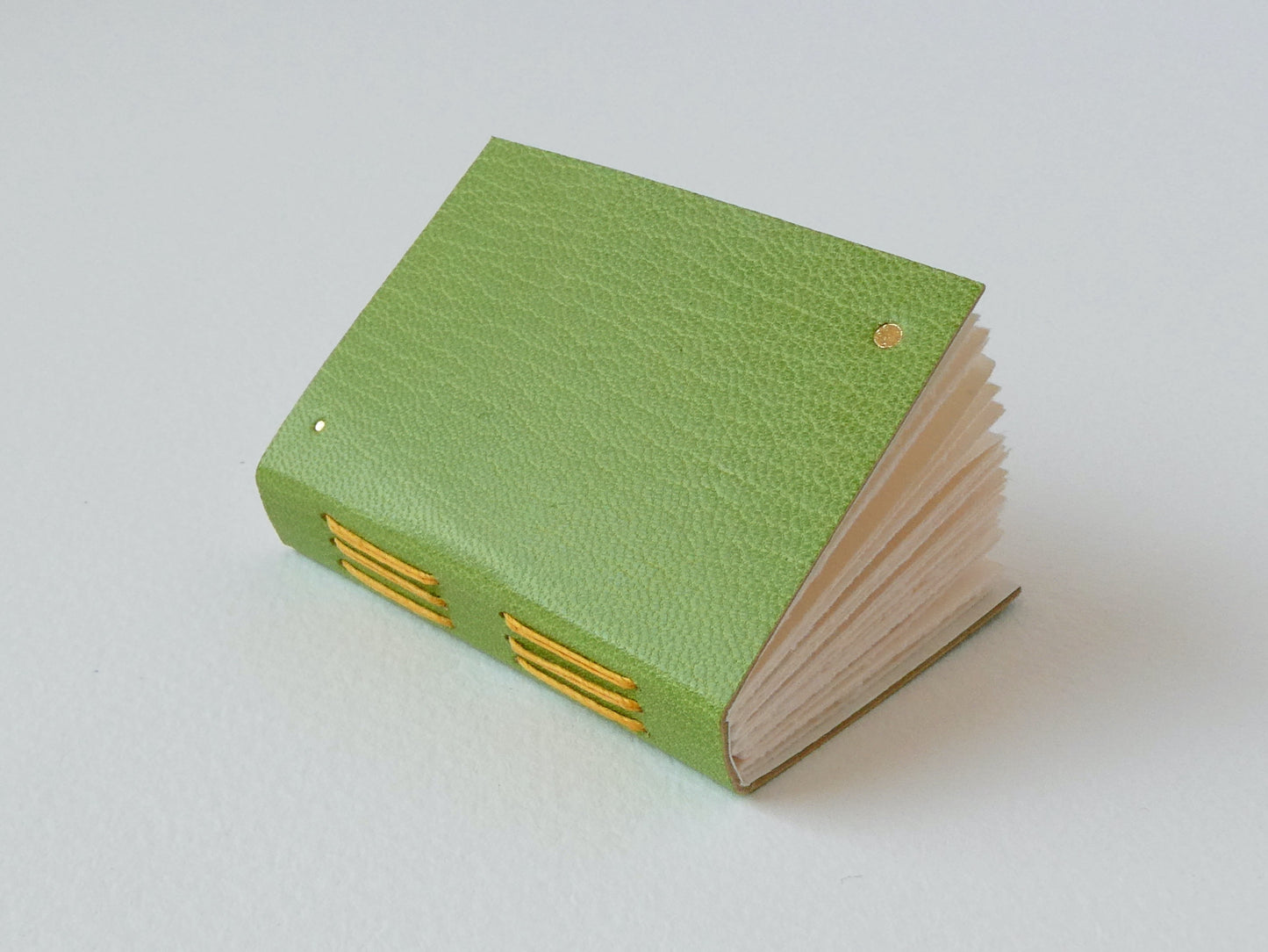 Mini Leather Notebook with Gold Dots