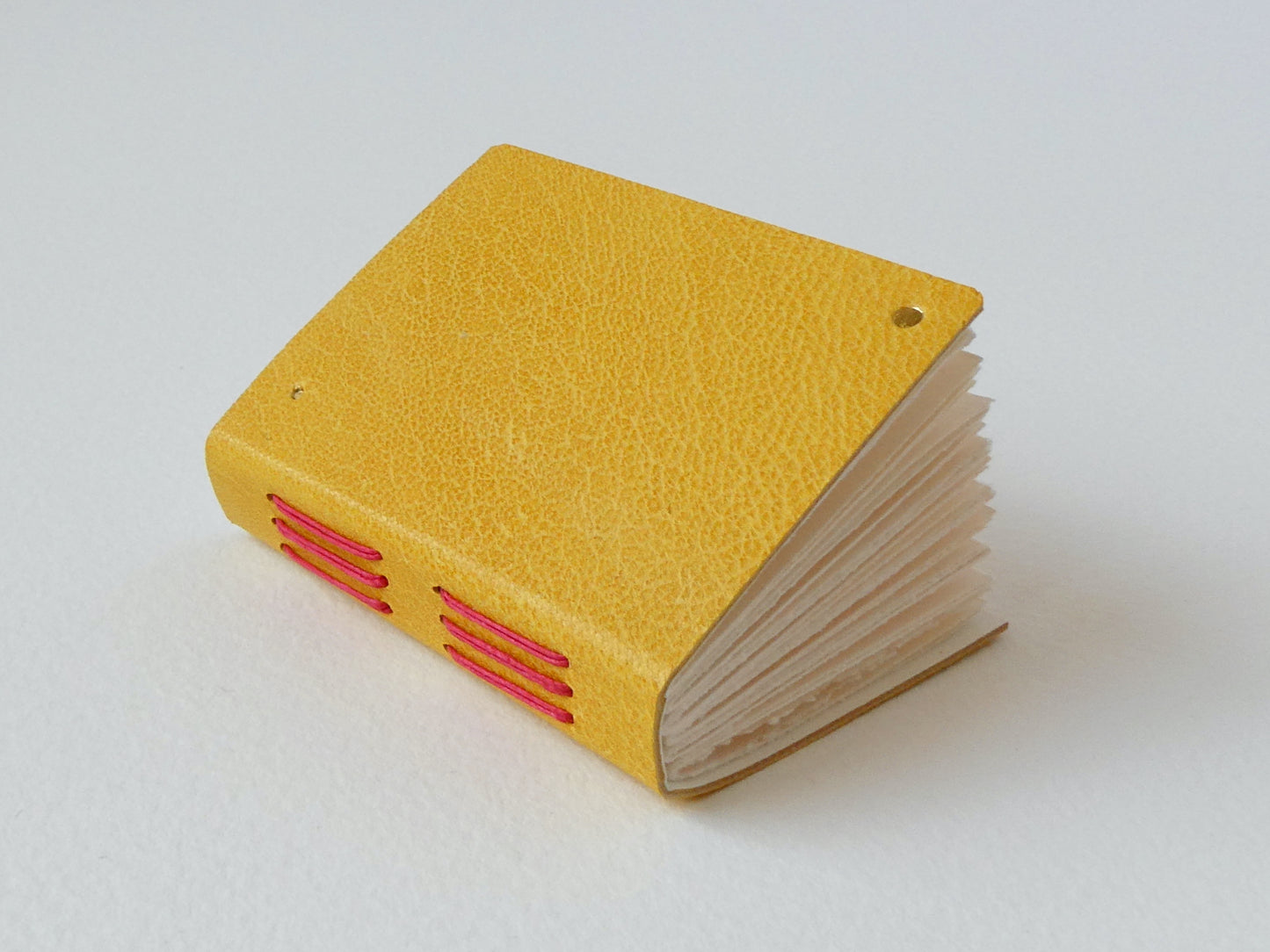 Mini Leather Notebook with Gold Dots