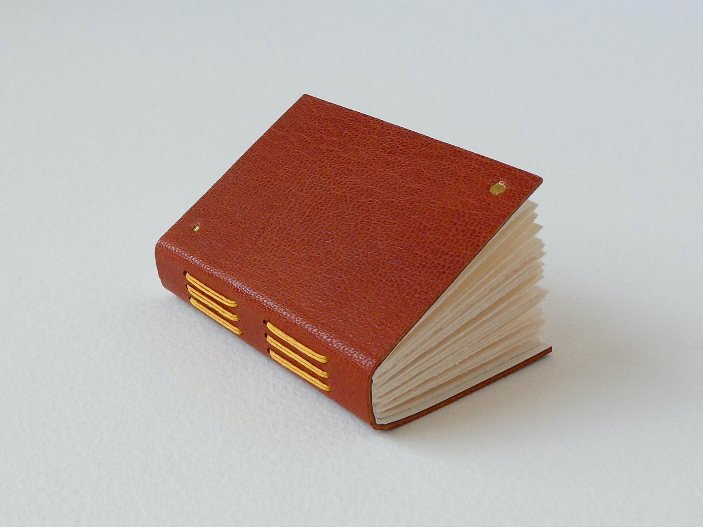 Mini Leather Notebook with Gold Dots