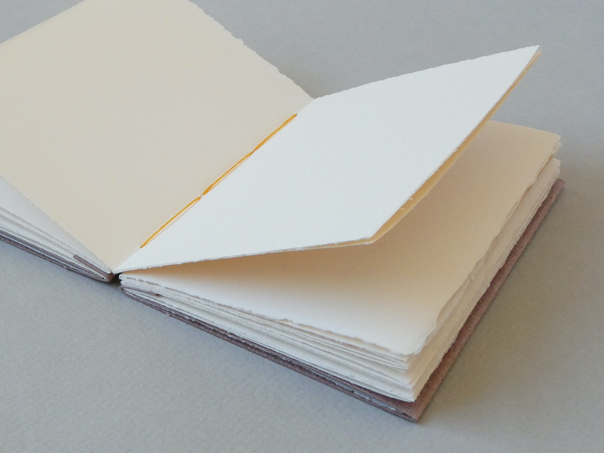 Celandine Books handmade notebook open pages