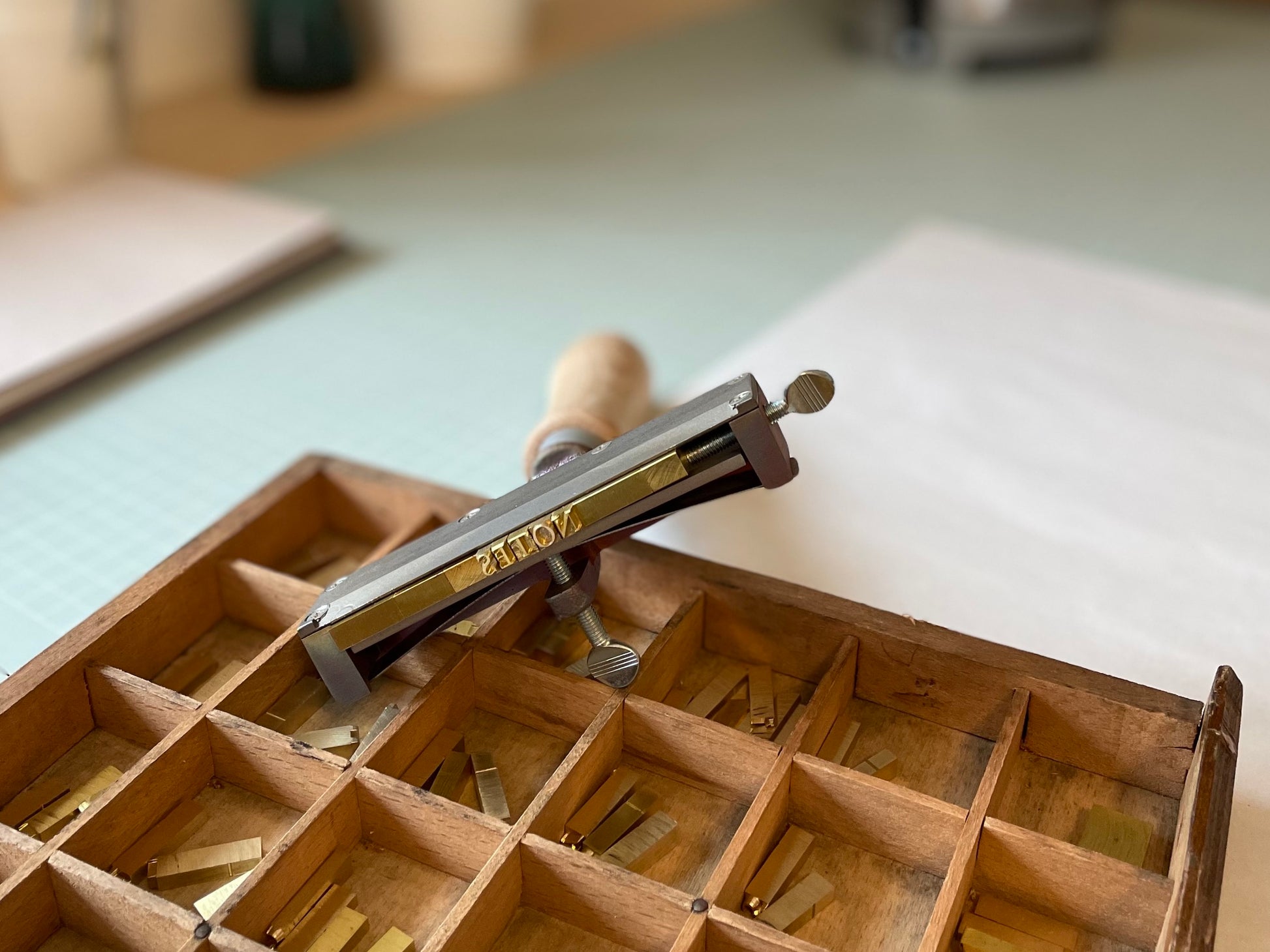 Celandine  Books type holder