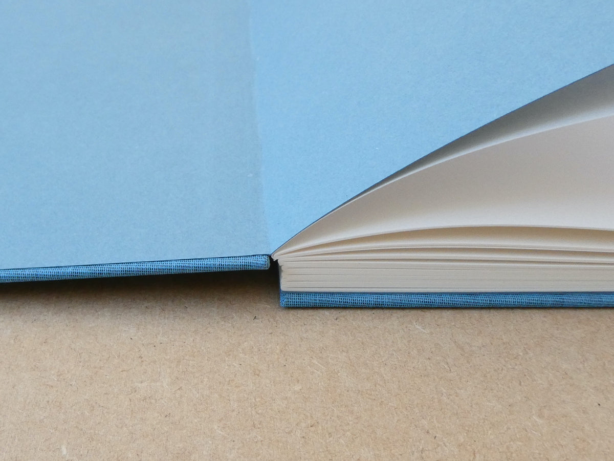 Close-up of a book with blue endpapers on a beige background