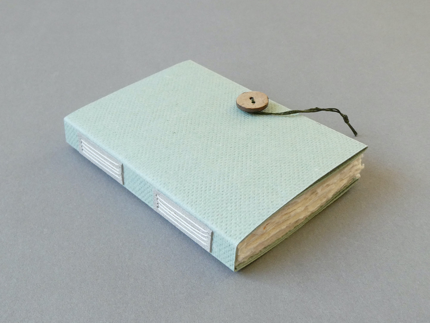 Handmade Paper Notebook with Vellum Plackets and Coconut Button