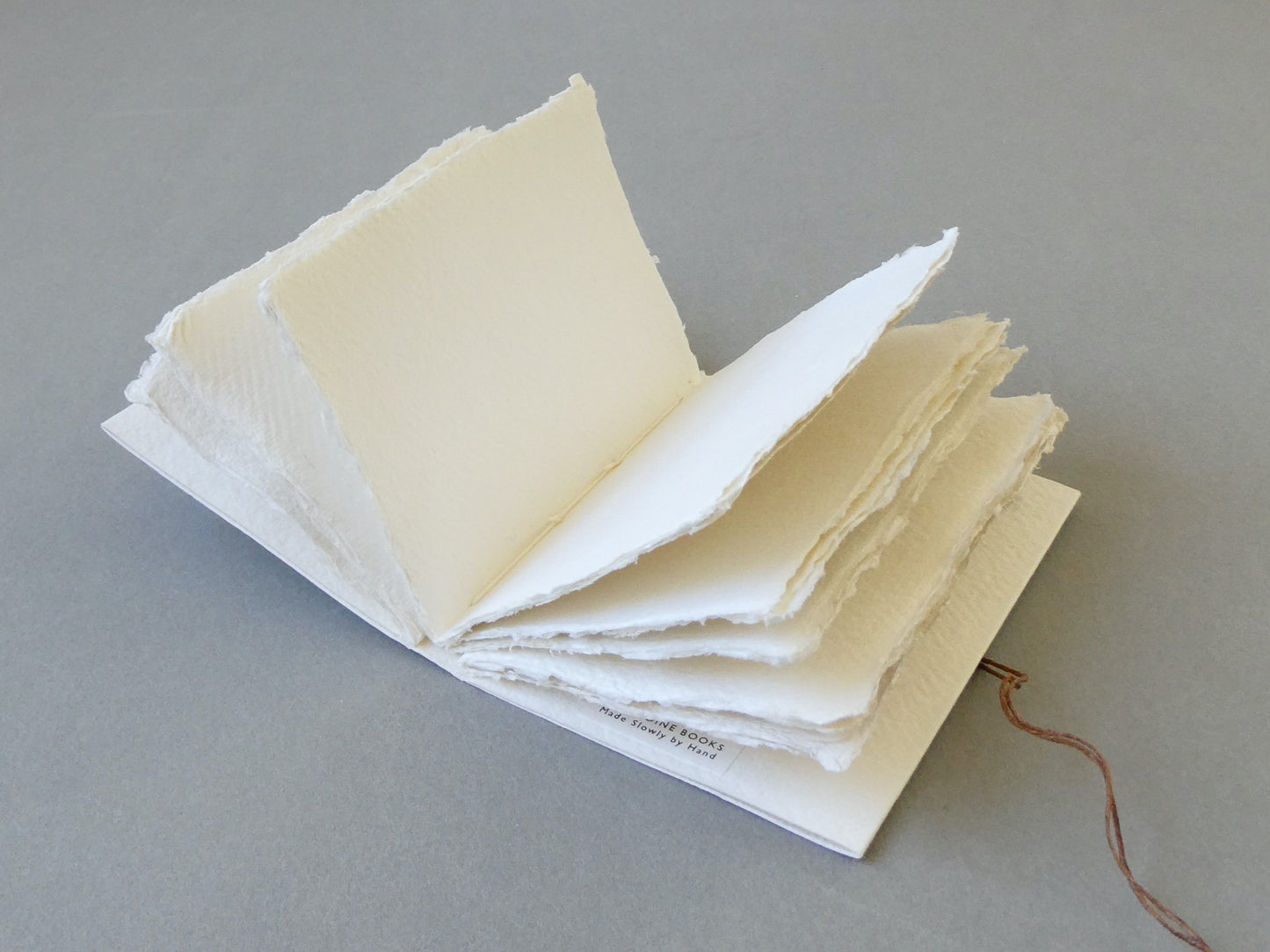 Handmade Paper Notebook with Vellum Plackets and Coconut Button