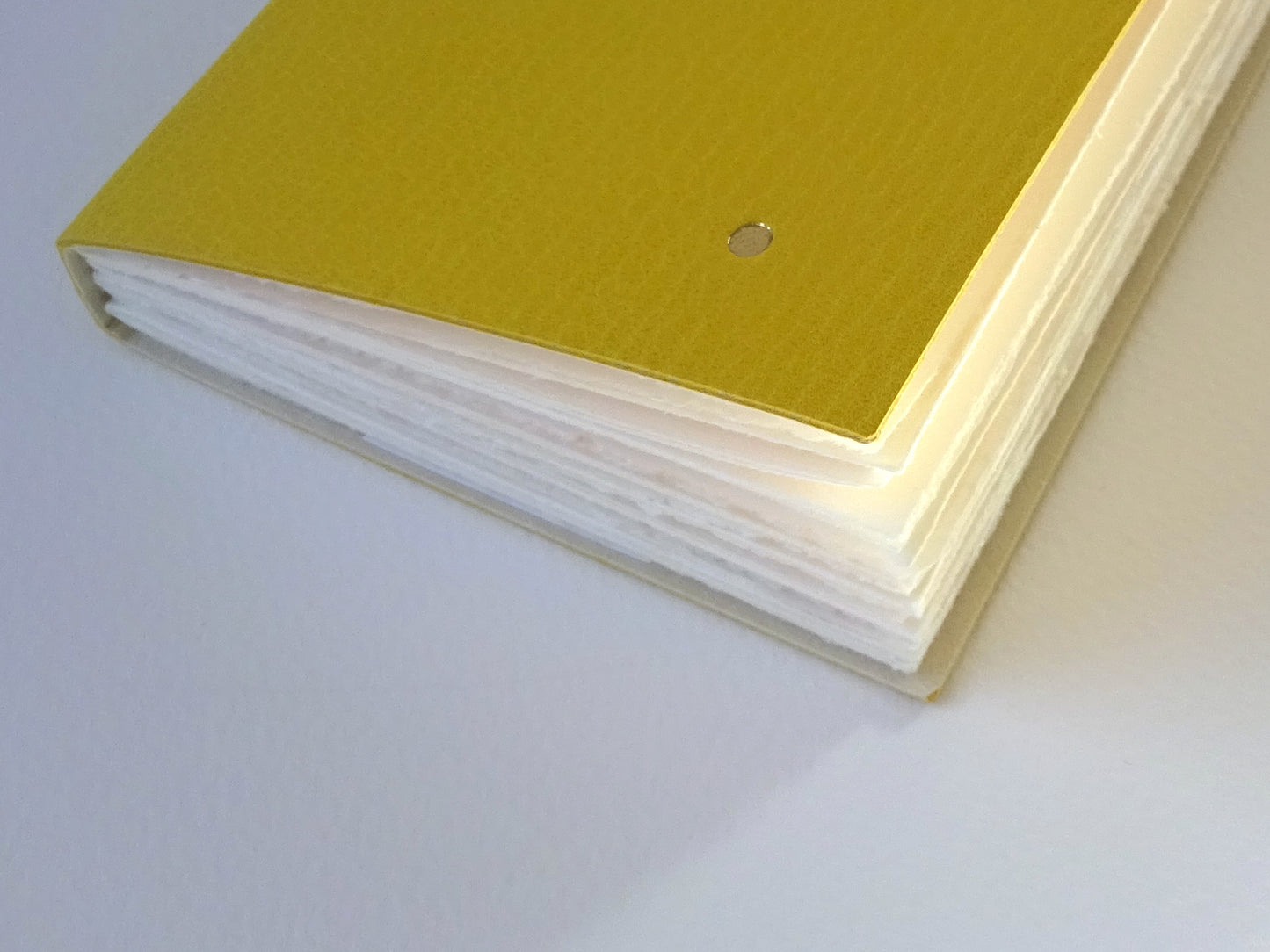 Leather Notebook with Gold Dots