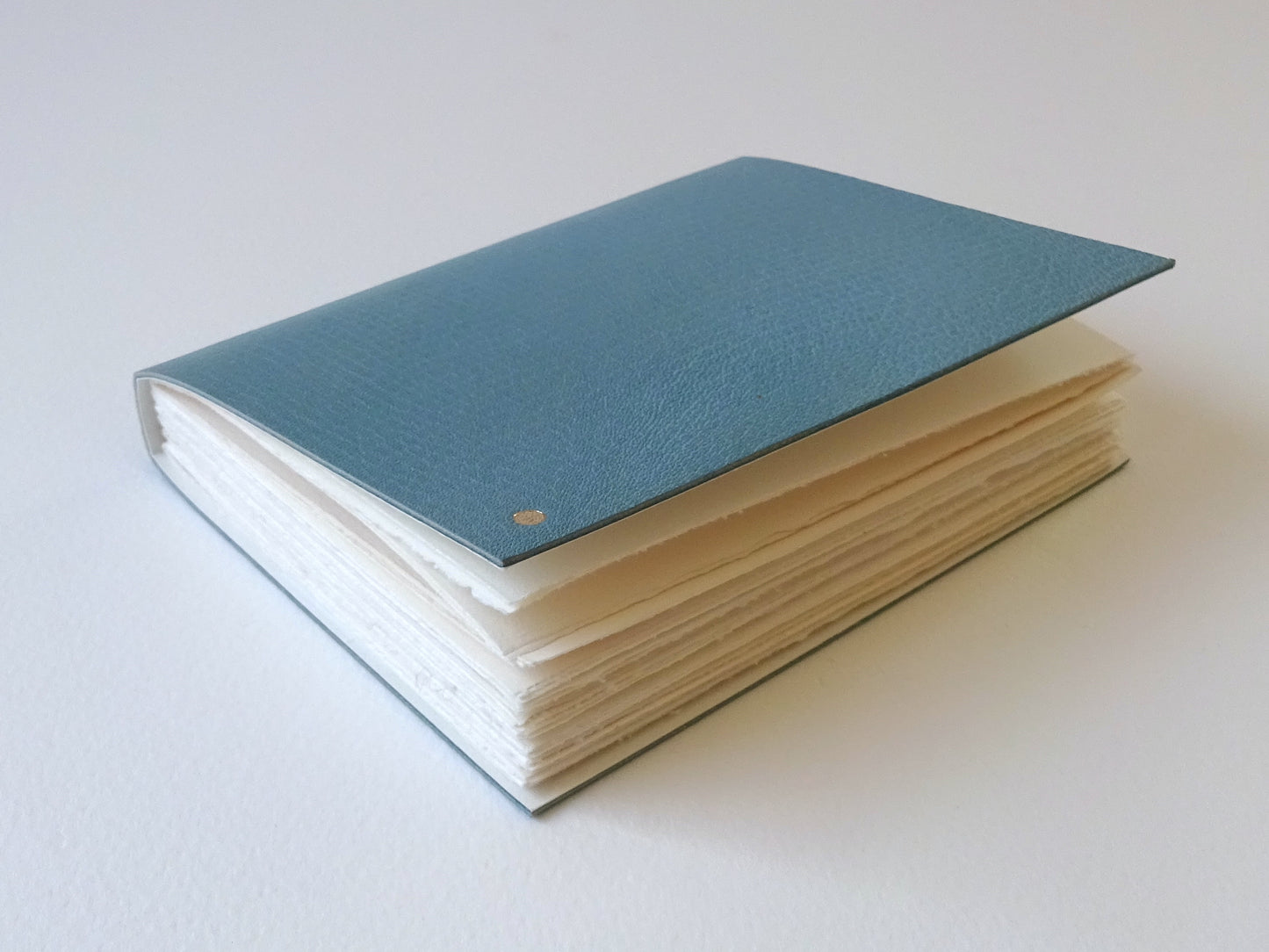 Leather Notebook with Gold Dots