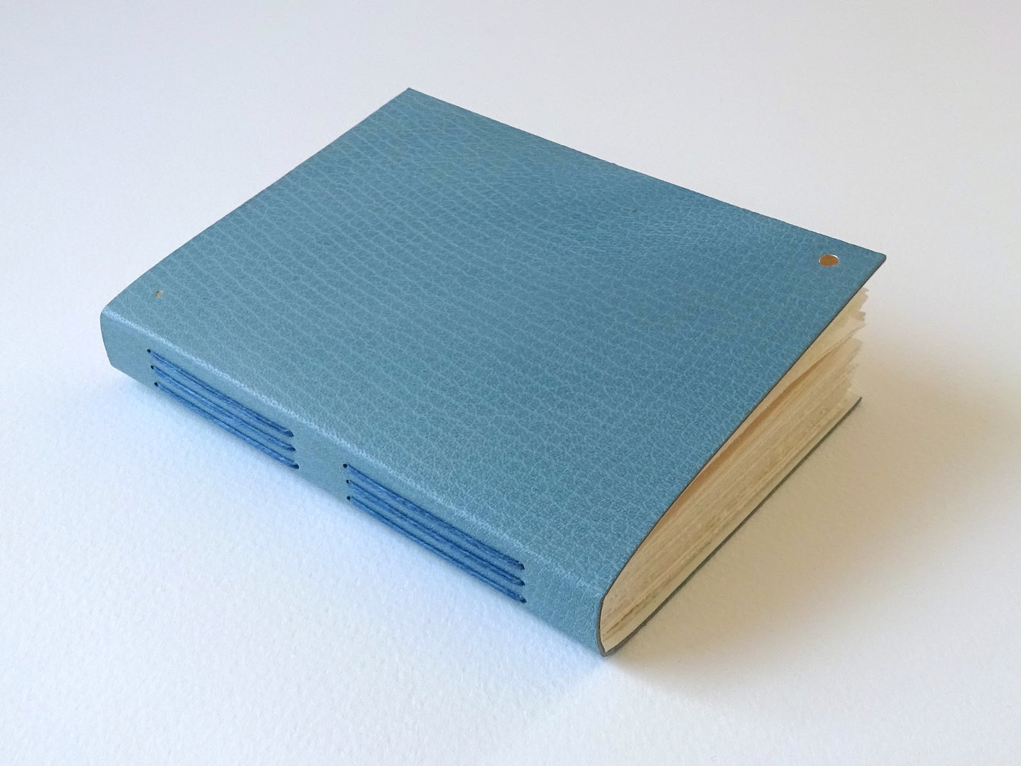 Leather Notebook with Gold Dots