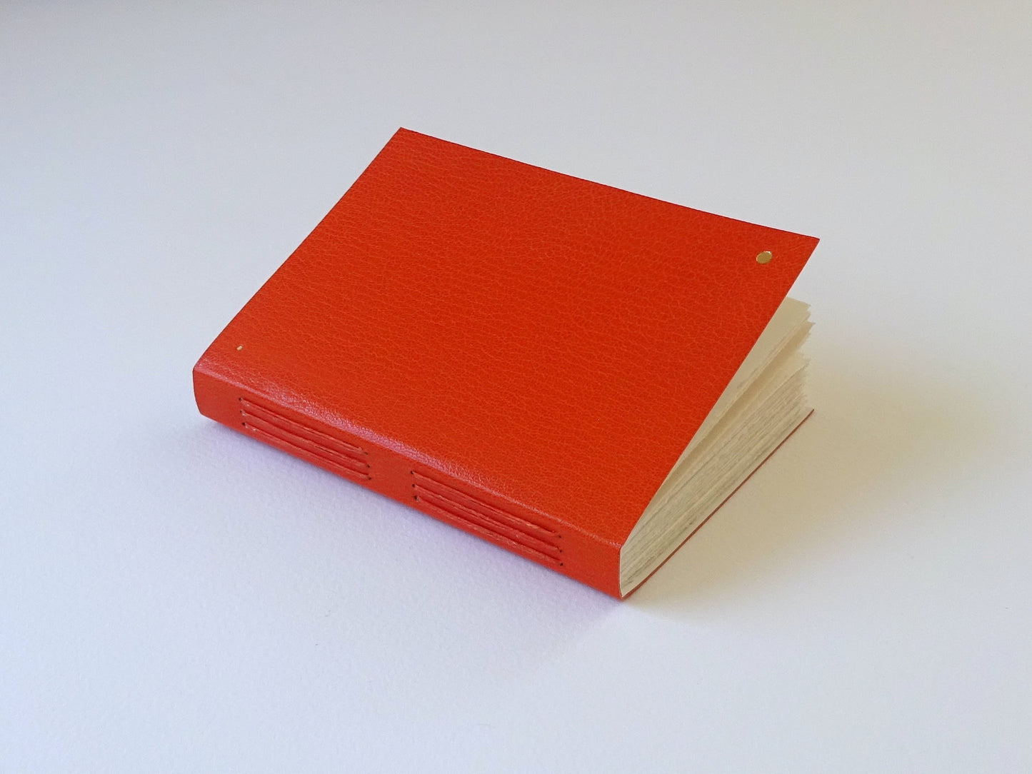 Leather Notebook with Gold Dots