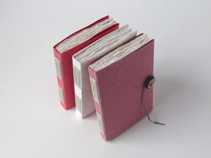 Handmade Paper Notebooks with Vellum Plackets and Coconut Button