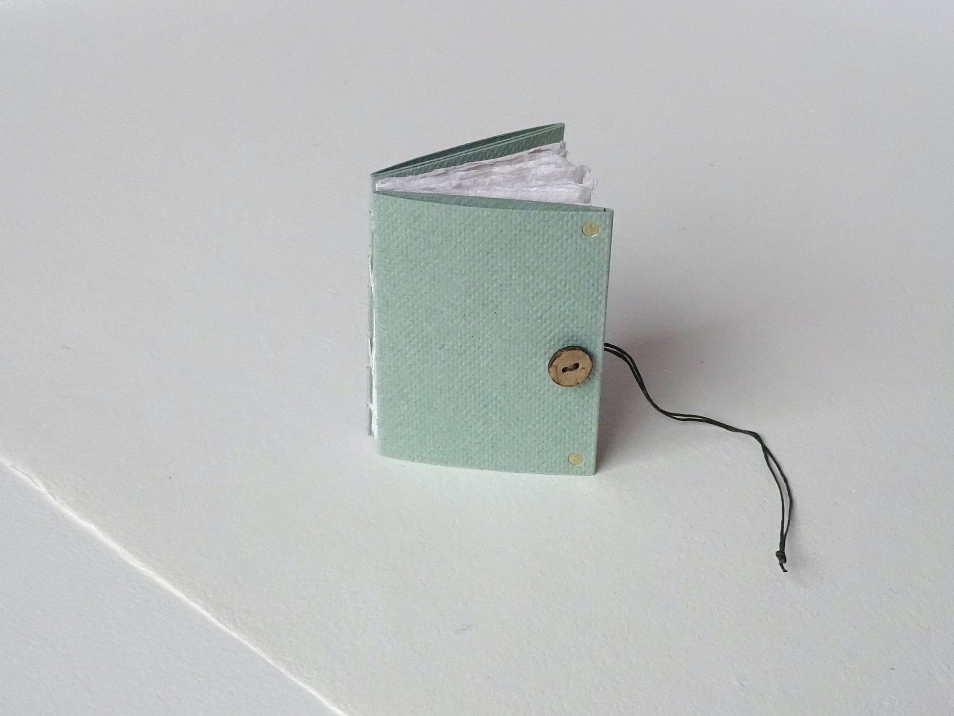 Handmade Paper Mini Book Fern